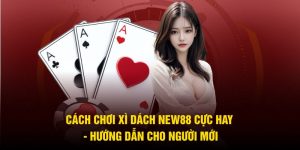 Cách Chơi Xì Dách NEW88 Cực Hay
