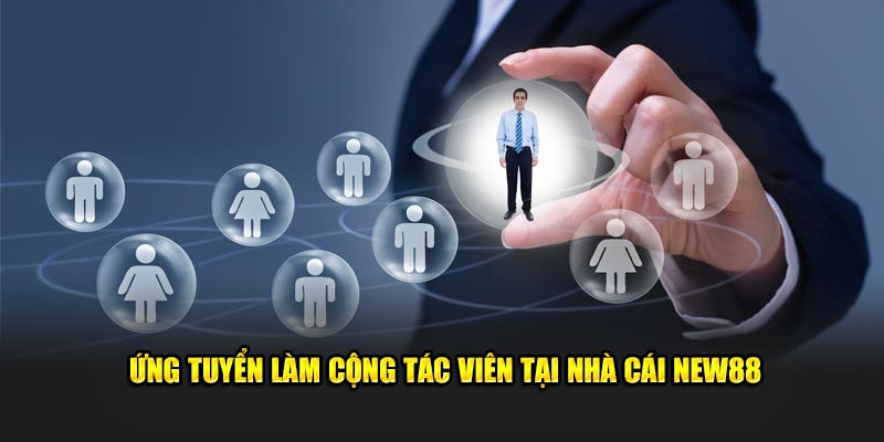 Ứng tuyển làm cộng tác viên tại nhà cái NEW88
